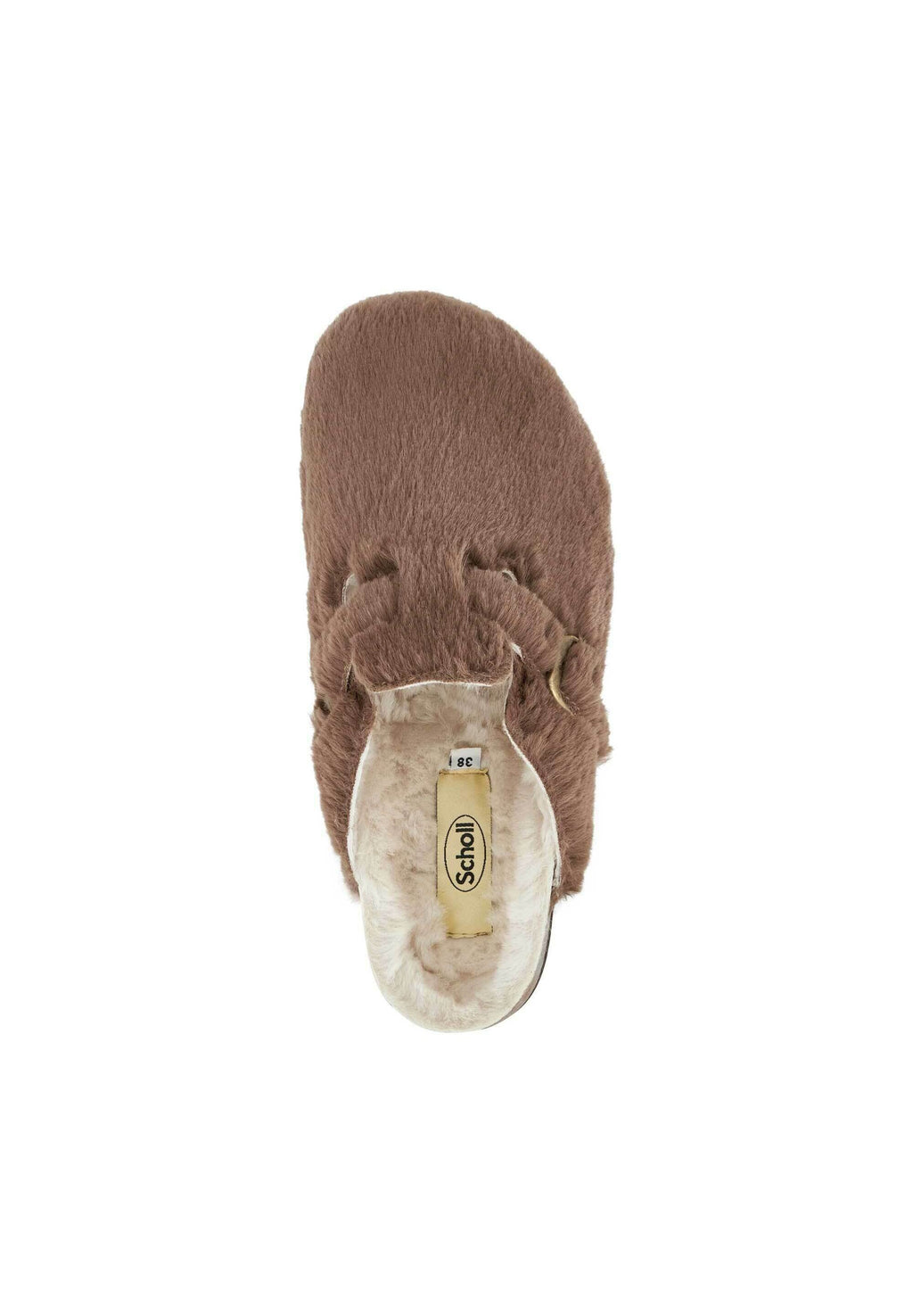 Scholl FAE NEW