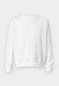 Jack & Jones JJEBRADLEY SWEAT CREW NOOS