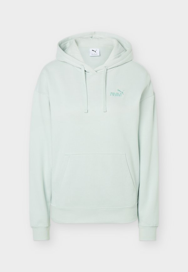 Puma SMALL NO. 1 LOGO COMFORT HOODIE - Hoodie - créme de mint