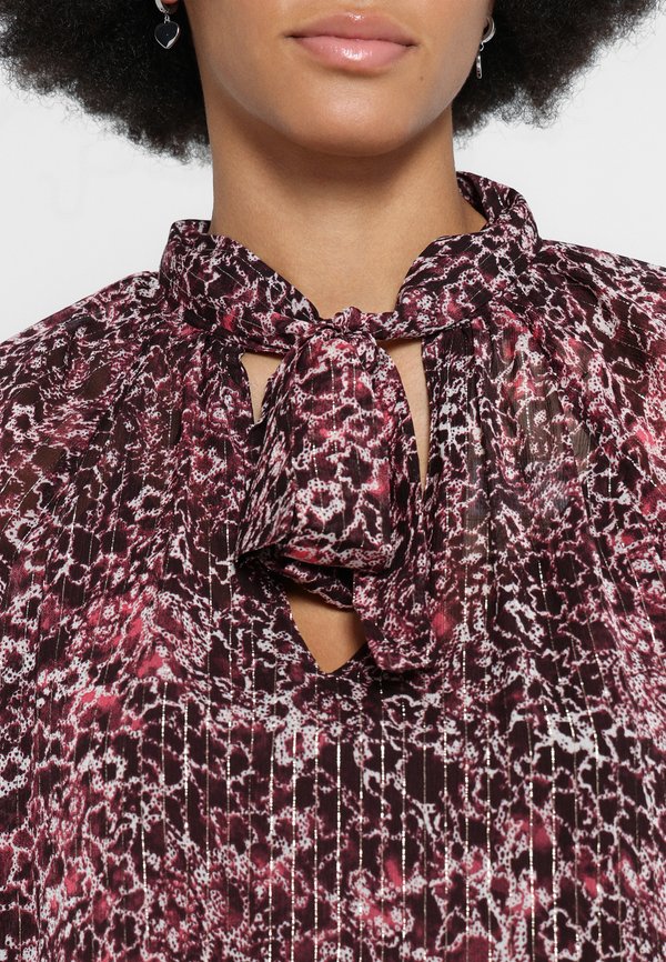 Scotch & Soda