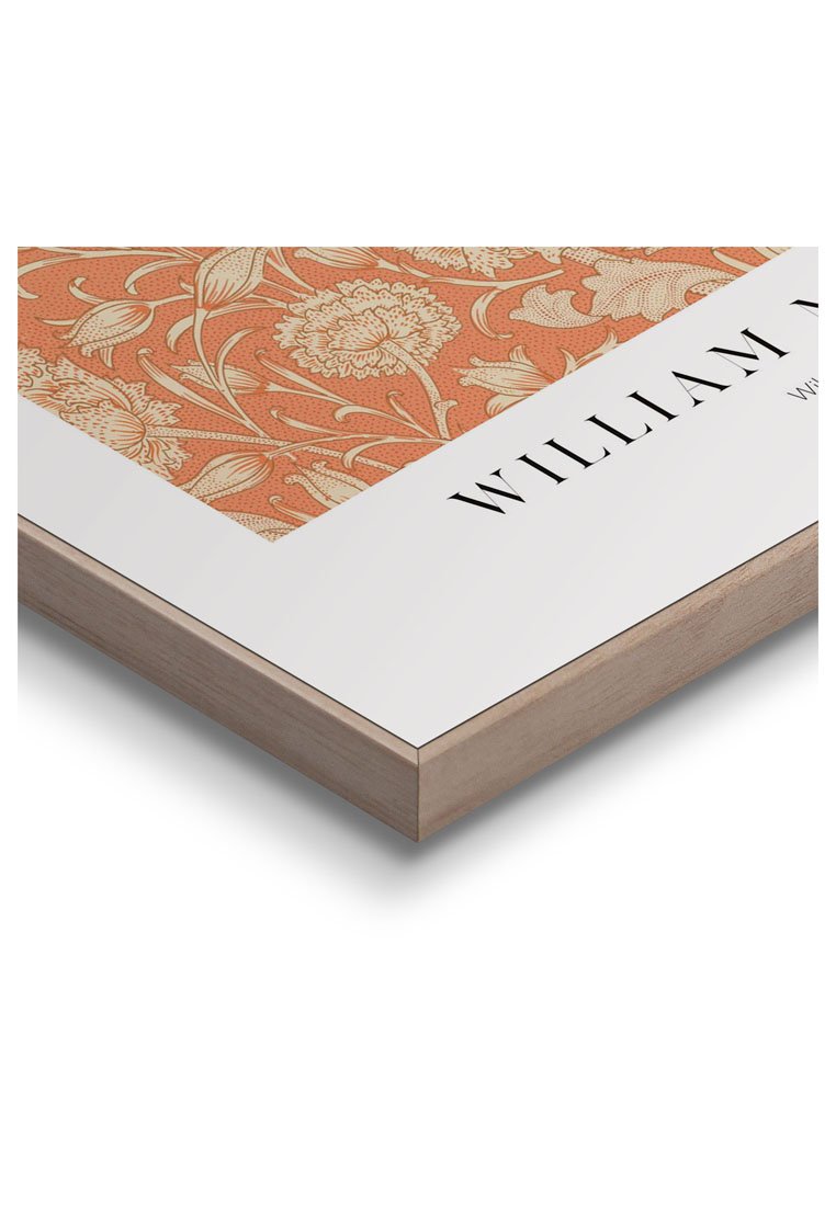 Orange Wallz WILLIAM MORRIS TULIP SET