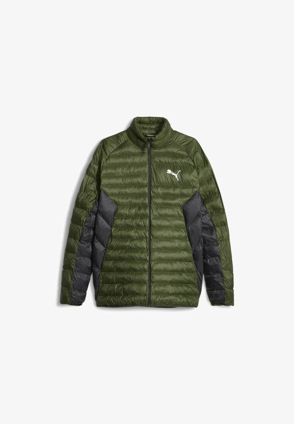 Puma PACKLITE PRIMALOFT - Winter jacket - myrtle