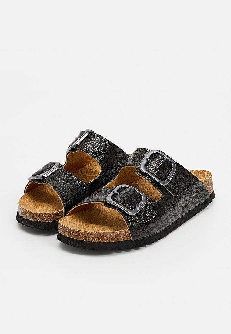 Scholl NOELLE
