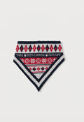 BANDANA Media 1