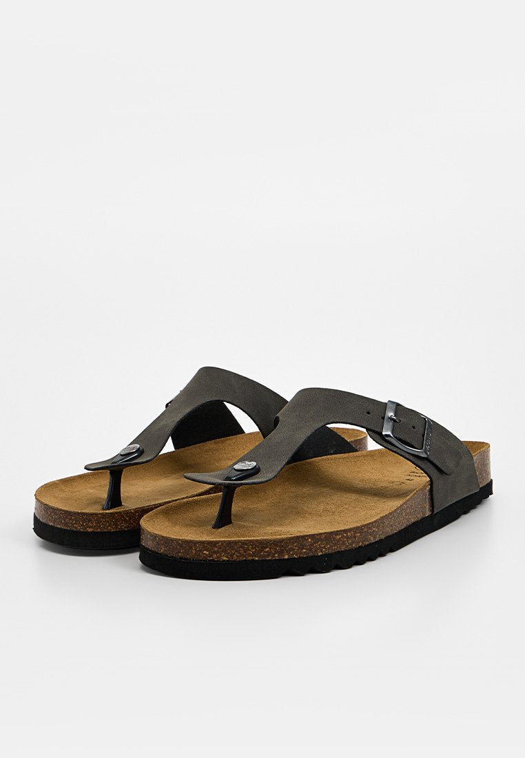 Scholl EVIS