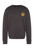 Grauer Sweatshirt aus Baumwollmischung mit rundem Ausschnitt und langen Ärmeln. Auf der linken Brustseite vorne ist ein gelbes Motiv mit Streifen und einem Stern zu sehen.