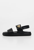 Scholl TAYLOR