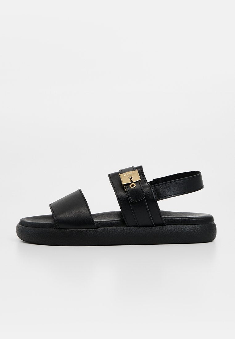 Scholl TAYLOR
