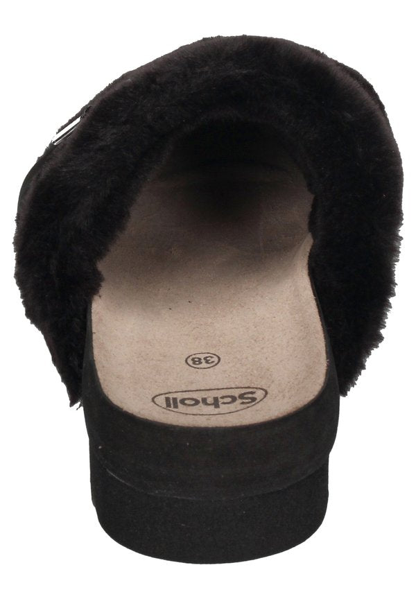 Scholl ALASKA