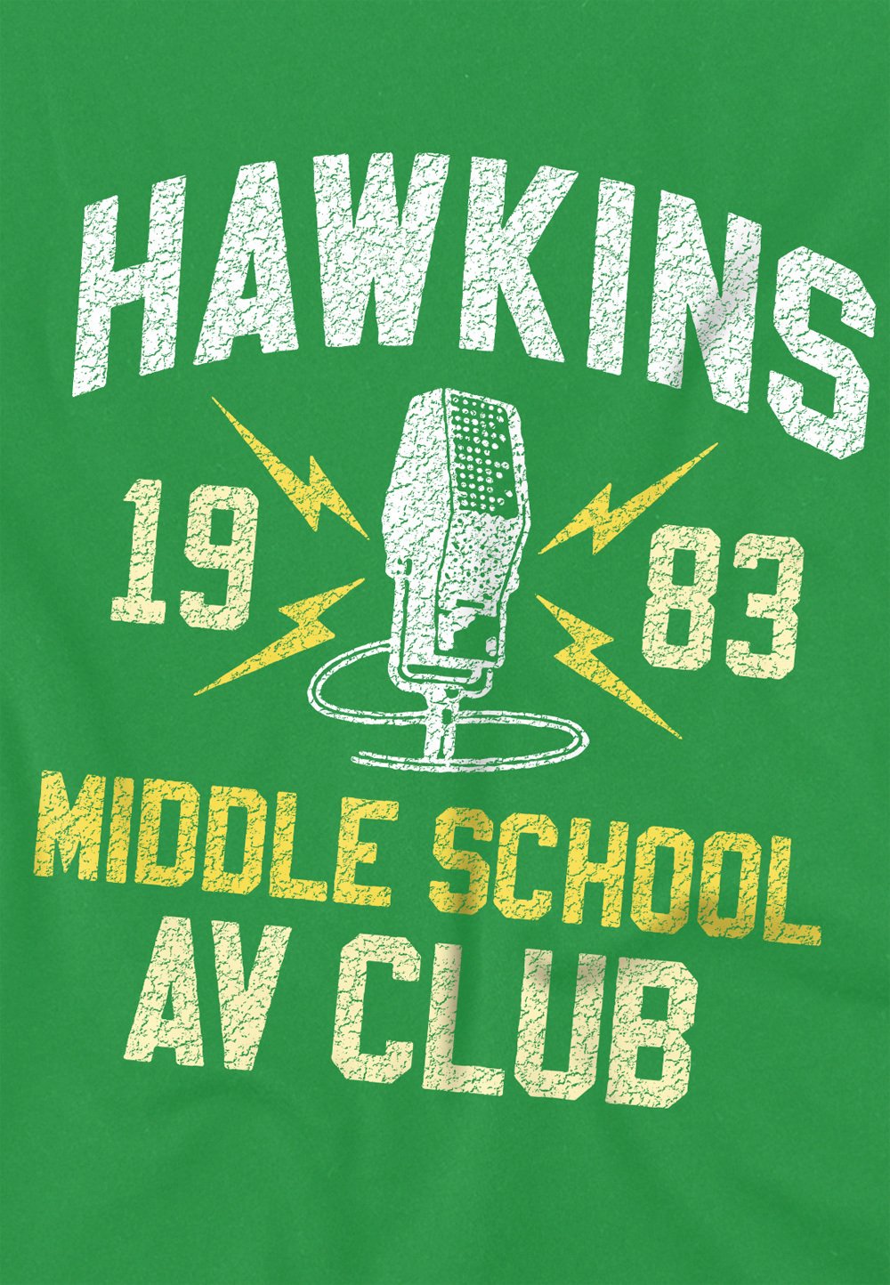 STRANGER THINGS HAWKINS MIDDLE SCHOOL Media 4