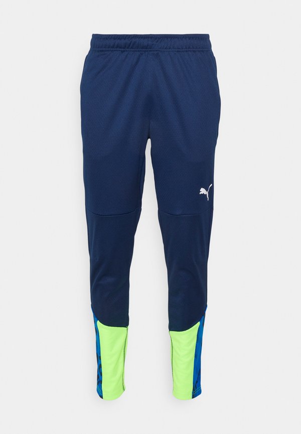 Puma INDIVIDUALCUP TRAINING PANTS - Tracksuit bottoms - persian blue/pro green