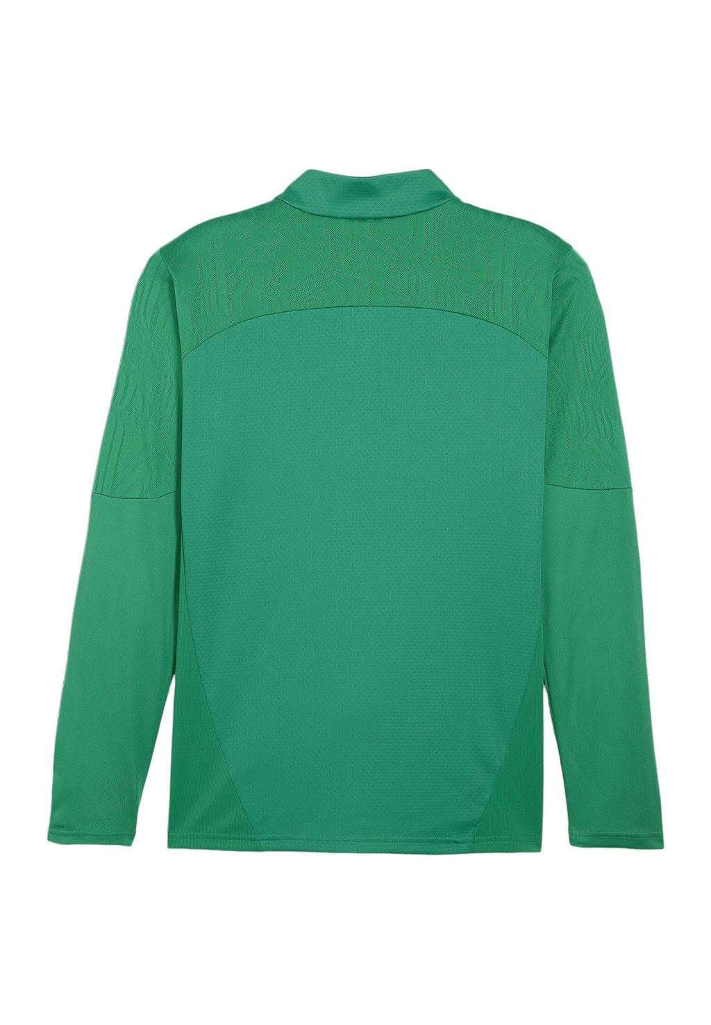 Puma TEAMFINAL TRAINING 1/4 ZIP