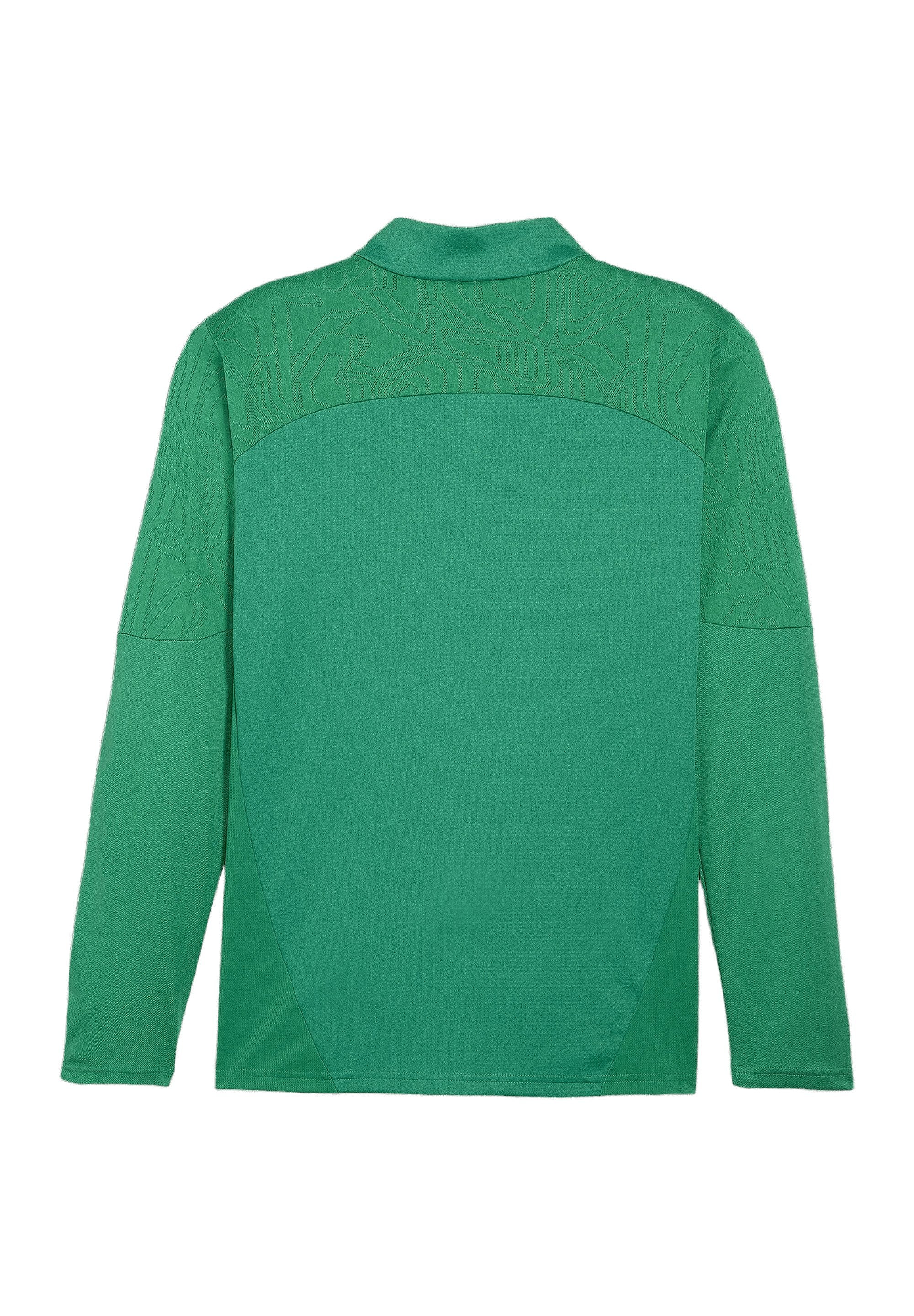 Puma TEAMFINAL TRAINING 1/4 ZIP