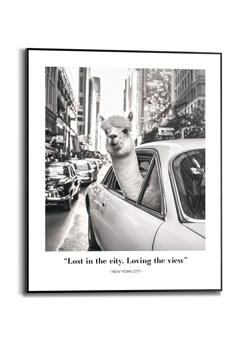 Orange Wallz ALPACA NEW YORK