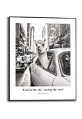 Orange Wallz ALPACA NEW YORK