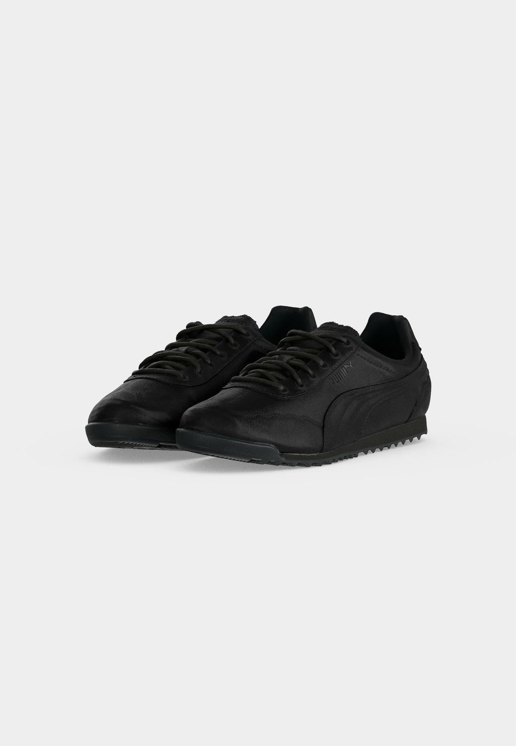 Puma ARIZONA