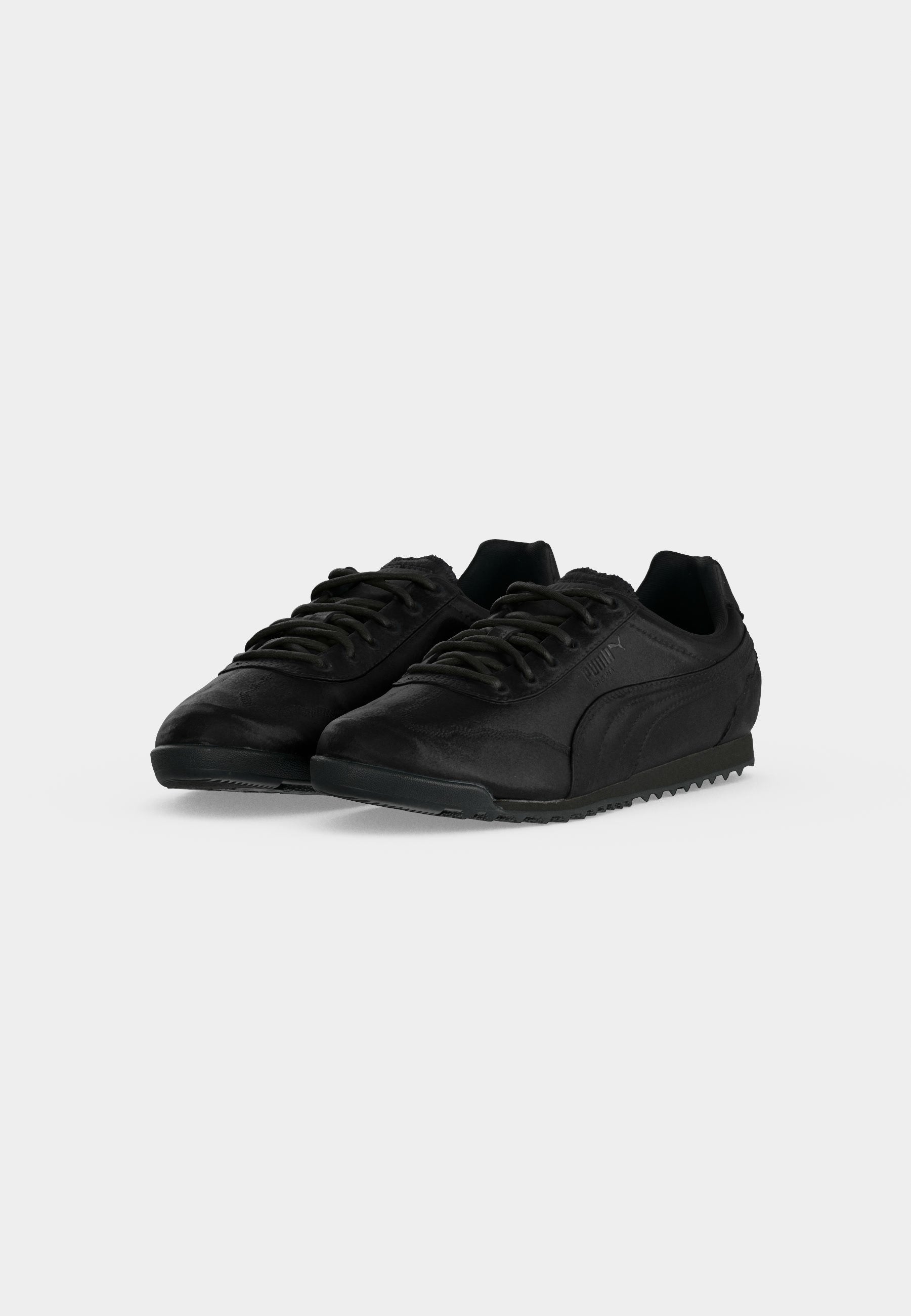 Puma ARIZONA