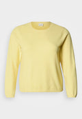 ONLY Carmakoma CARLOYAL O NECK PULLOVER
