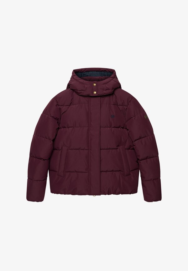 Superdry & Co SUPERDRY PREMIUM HOODED PUFFER JACKET.. - Winter jacket - fig purple
