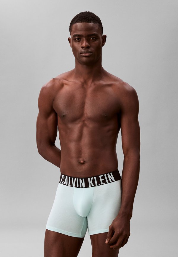Calvin Klein BOXER BRIEF 3PK 000NB3609A - Boxer briefs - black aerial turbulence