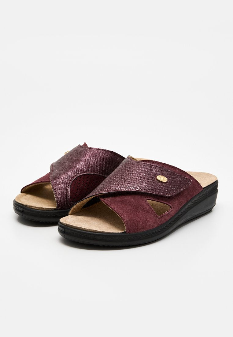 Scholl ANTONIA