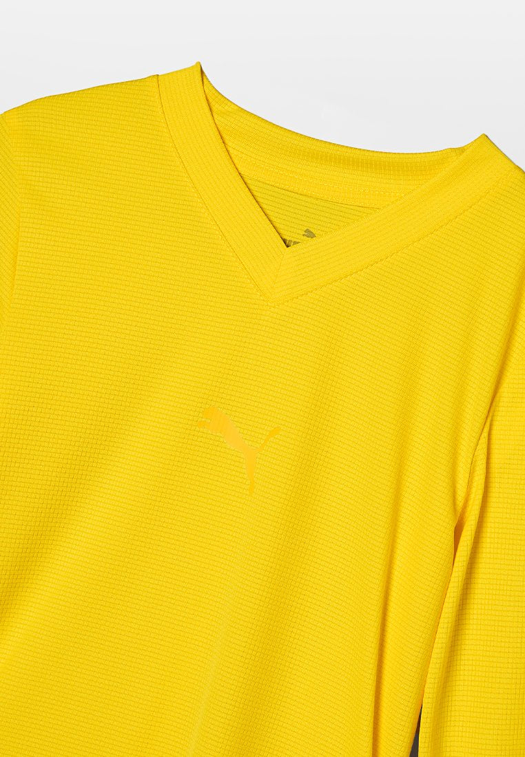 Puma TEAMGOAL