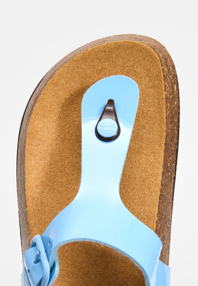 Scholl ANAIS