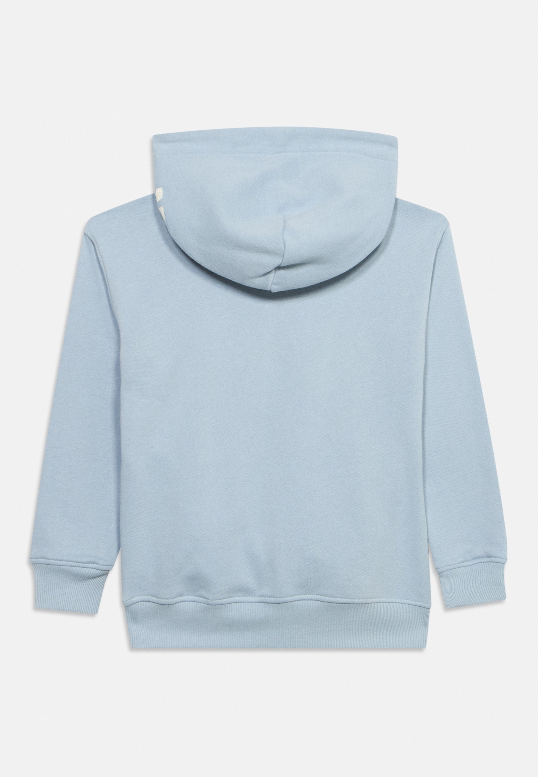 Abercrombie & Fitch PULLOVER HOODIE