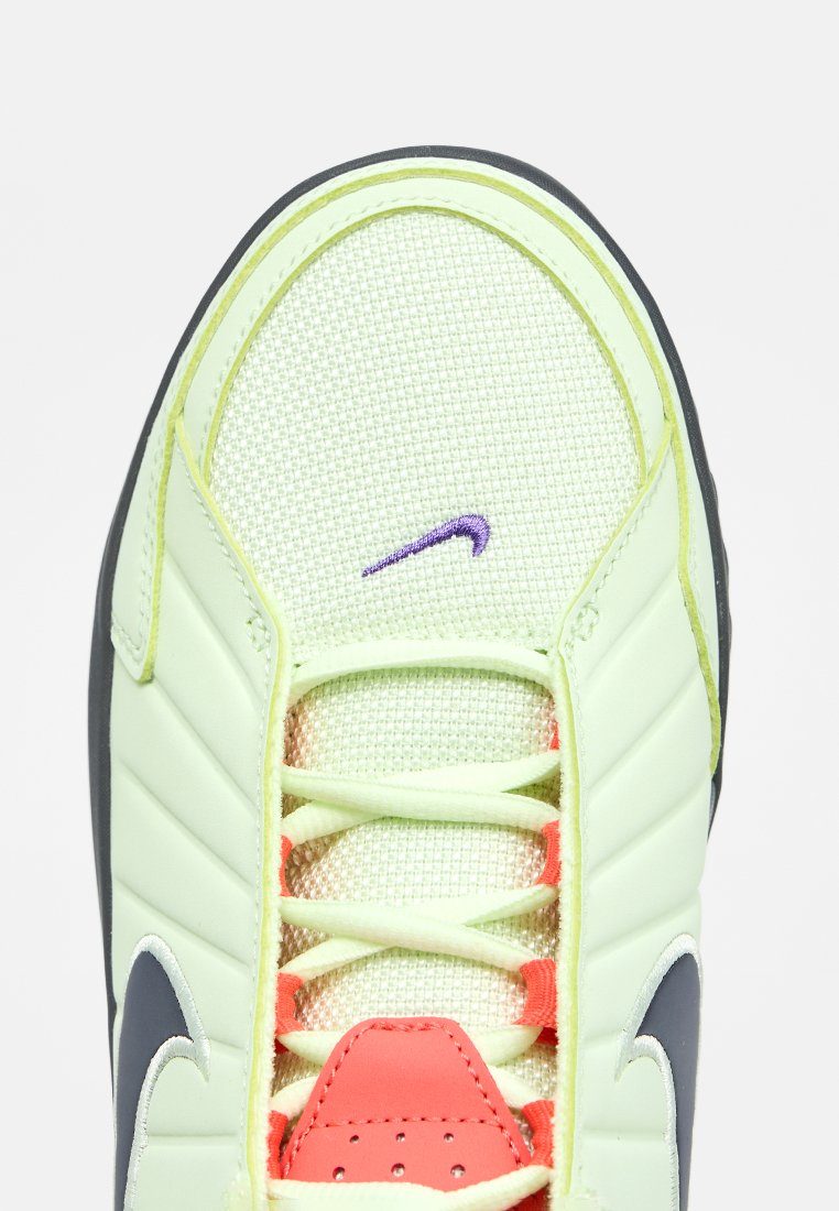 Nike Performance LEBRON WITNESS IX
