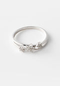 Diamant Exquis 0.21 CT DIAMOND