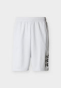 Under Armour NEXT GEN - Sports shorts - halo gray/black