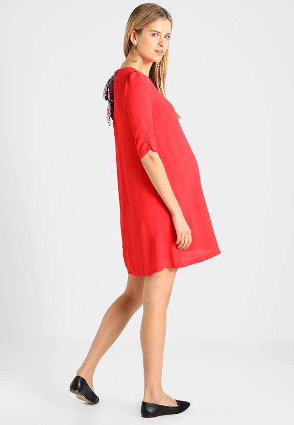 Envie de Fraise DALIA