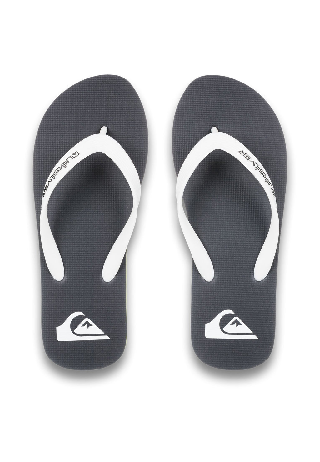 Quiksilver MOLOKAI CORE