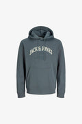 Jack & Jones JJEDENVER LOGO SWEAT HOOD SN PLS - Hoodie - turbulence