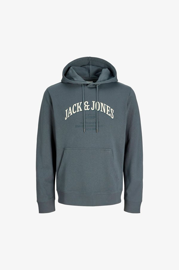 Jack & Jones JJEDENVER LOGO SWEAT HOOD SN PLS - Hoodie - turbulence