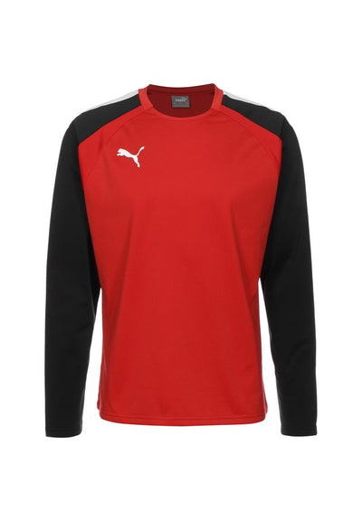 Puma TEAMLIGA