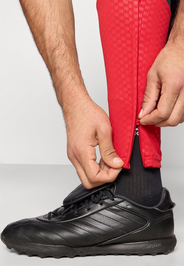 adidas Performance DEUTSCHLAND DFB TRAINING PANT