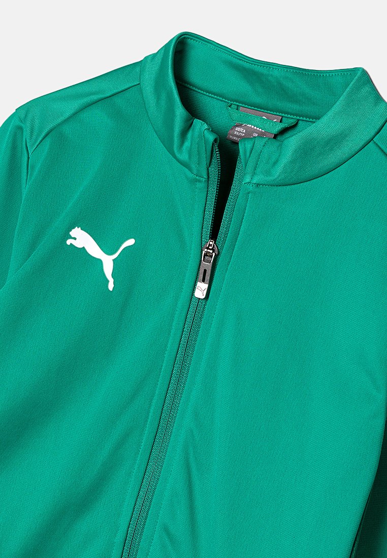 Puma TEAMGOAL