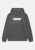 Levi's® BATWING FILL HOODIE