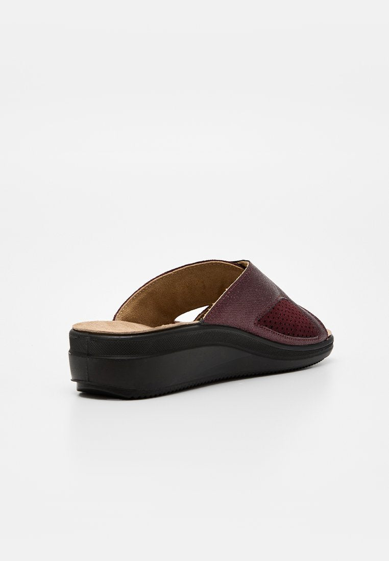Scholl ANTONIA