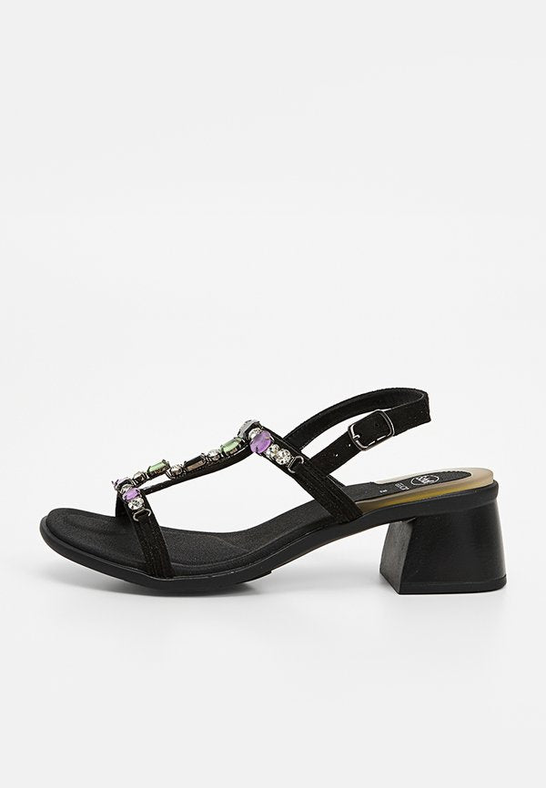 Scholl ARISTAS