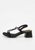 Scholl ARISTAS
