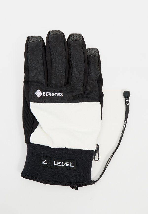 Level