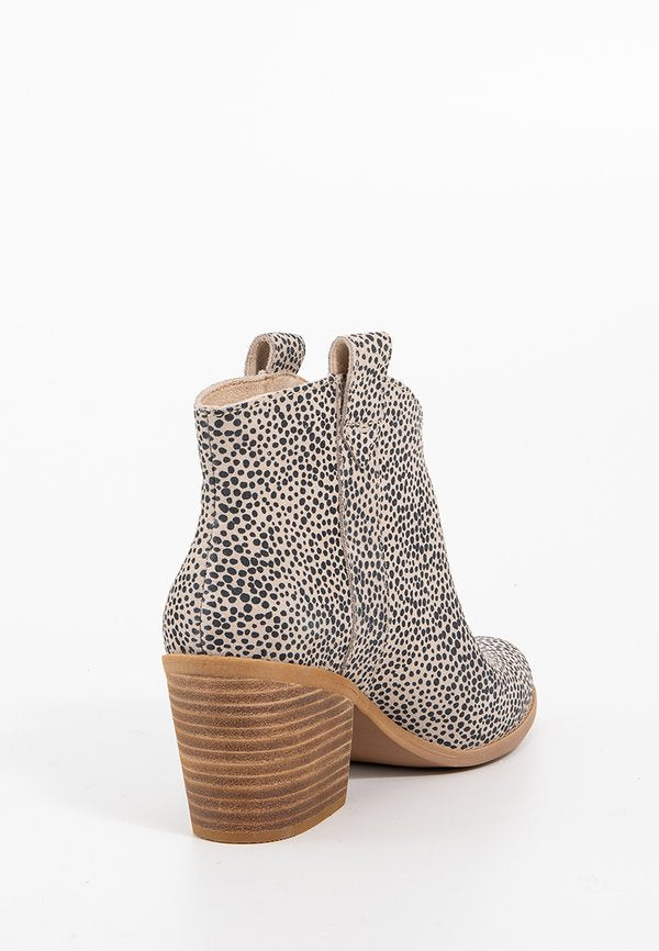 TOMS CONSTANCE