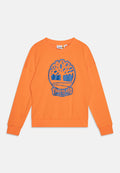 Oranger Pulli mit blauer Grafik eines stilisierten Baums und Logo-Text. Aus Baumwolle gefertigt, mit lockerer Passform und gerippten Bündchen.