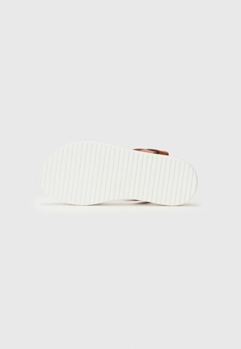 Pollini