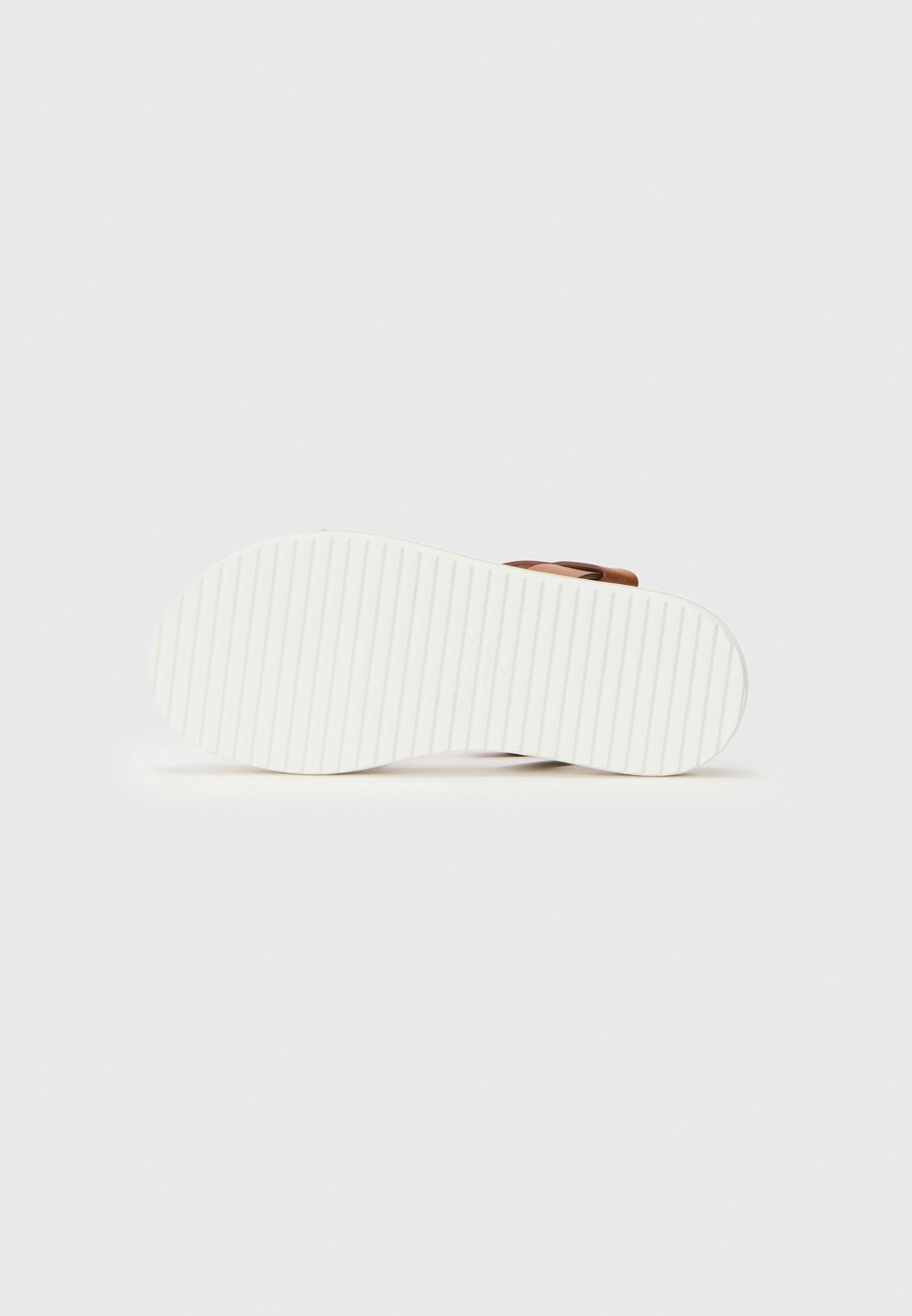 Pollini