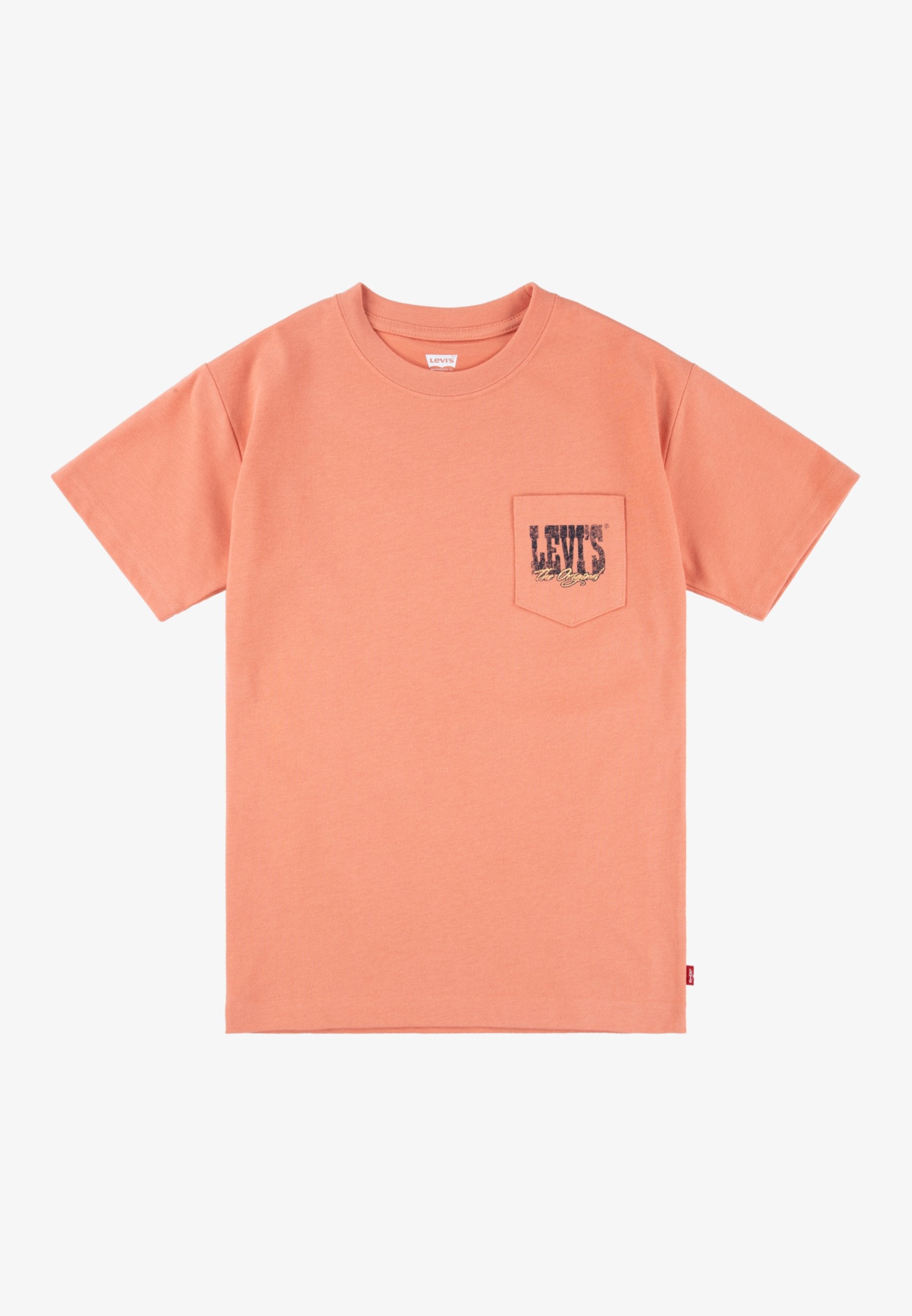 Levi's® CANYON LANDSCAPE TEE