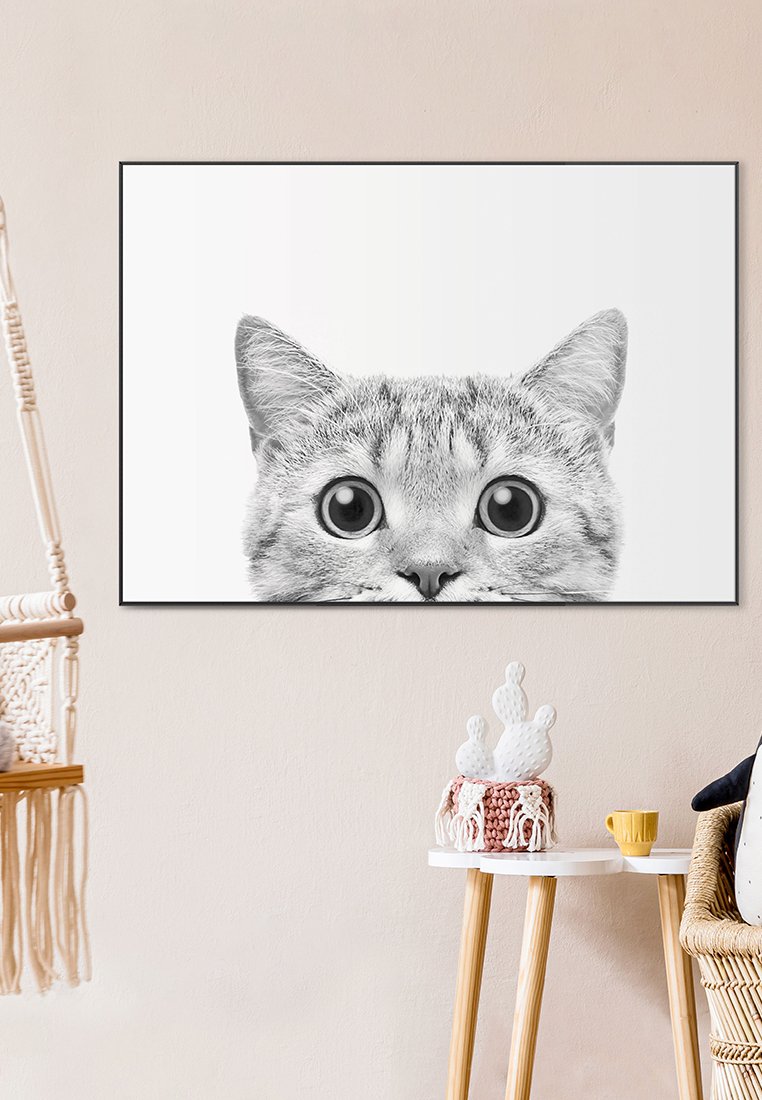Orange Wallz CATS EYES