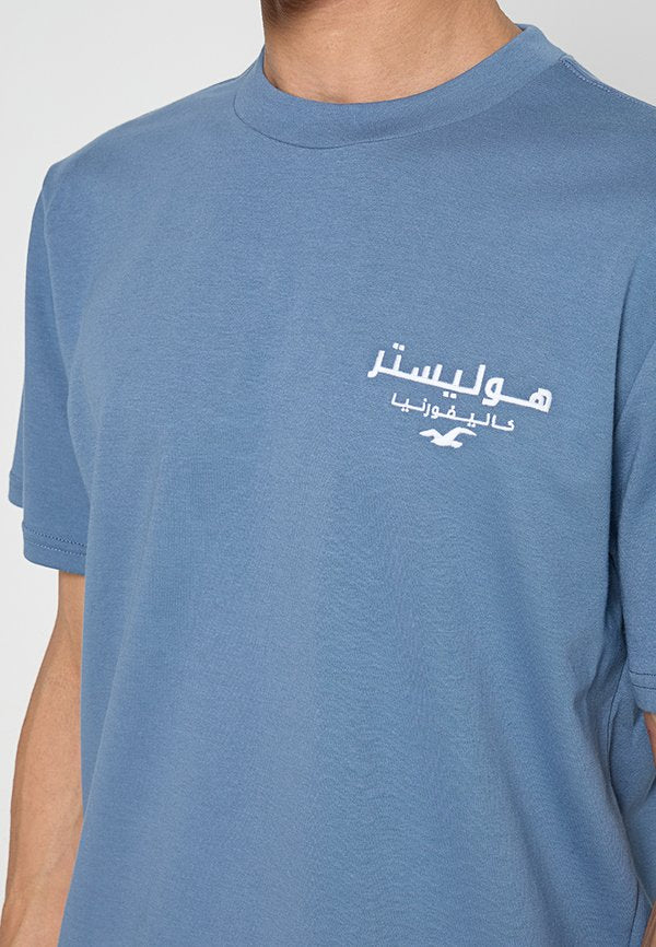 Hollister Co. RELAXED FIT